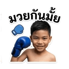 youngnovice_20260428172736