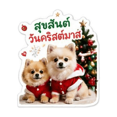 yutoXsarang X'mas