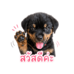 Mewmew_20260428172721