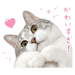 rannokimochi