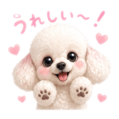 COCOWING_20260512041518