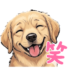 WATARU_20260512023633