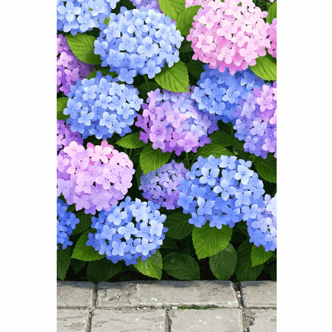 A refreshing early summer bursts forth!