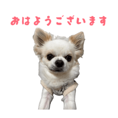 COCO_20260512074611
