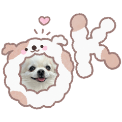 poru_20260512082348