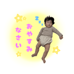 hikari_20260512081857