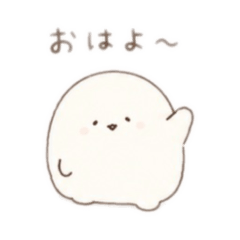 MOMI_20260512085518