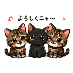 MAHIRO_20260512082145