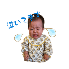 sora_20260512084405