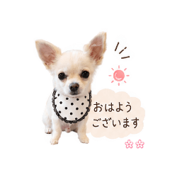 iku_20260512084529