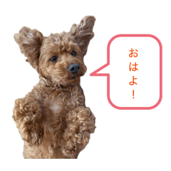 MOMI_20260512085411