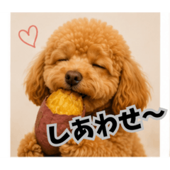 YUZUKABO_20260512083947
