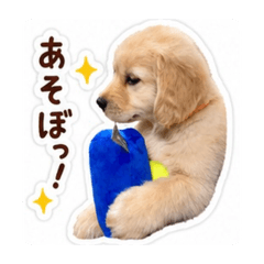 Aiby_20260512084525