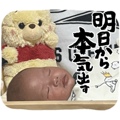 aoyagicoh_20260512082325
