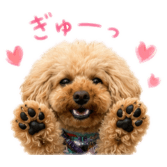 mikitysmile_20260512084641