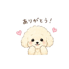 Fluffy Poodle Pup Daily Chat