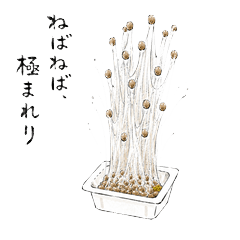 Natto Daily Life