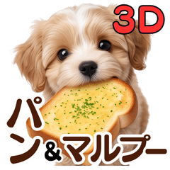 3D Maltipoo  & Bread Stickers