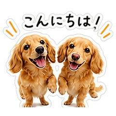 Dachshunds Daily Chat Stickers