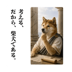 Shiba Inu Philosophy