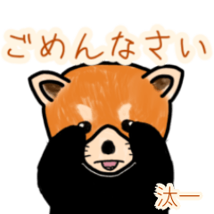 Taichi's lesser panda (2)