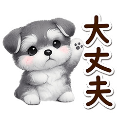 ちびミニチュアシュナウザー