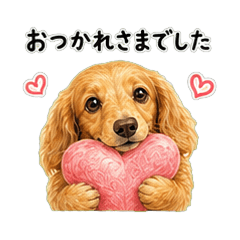 Sweet Polite Dachshunds