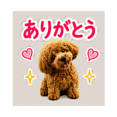 Chii-chan Daily