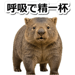 袋熊極限1