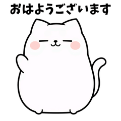The Daily Life of a Chubby White Cat