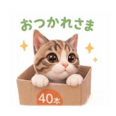 Cute Brown Tabby & White Cat Stickers2