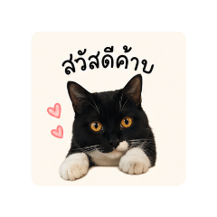 thonoak_20260428172750