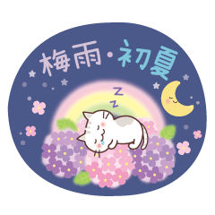 Cats, the rainy season, and early summer