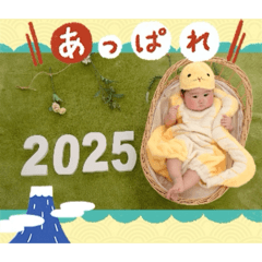 RAM_20260512113912