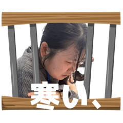 chin _20260512114413