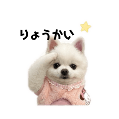 yukapome_20260512233947