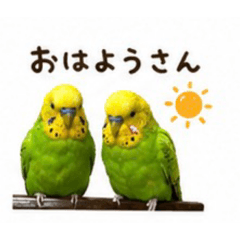 minami_20260512114608