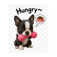 CHOCOLA_20260515100144