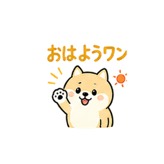 Big Text Shiba Pun Stickers
