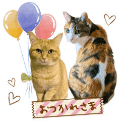 tora&mike's Sticker