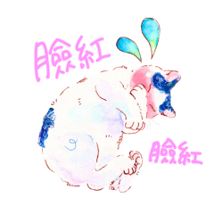 Manx cat called Shizuku Taiwanese ver