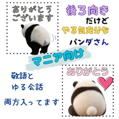 Panda: Focused from Behind!