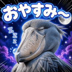Funny Cute Shoebill