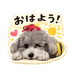 megumimi_20260512090730