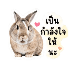 Moomind