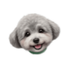 megumimi_20260512091651
