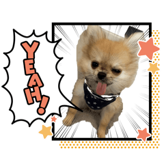 kiki_20260512092115