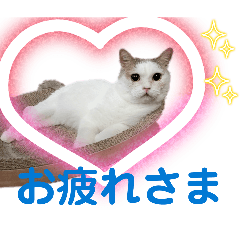 1031_20260512090432