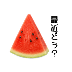 marumi_20260512093010
