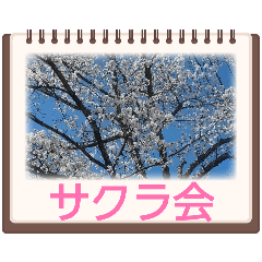 aobaizumi_20260512092558